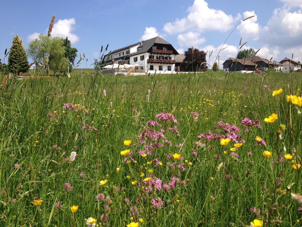 Forellenwirt Grünbach Exteriör bild